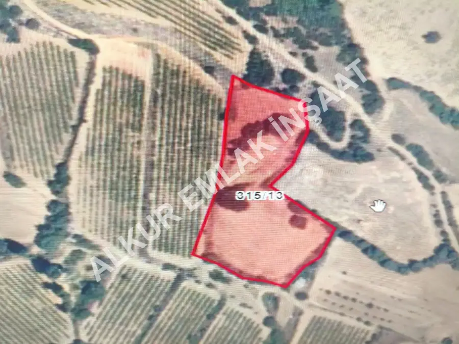 MANİSA SARIGÖL YENİKÖY MAH. 5040m² TARLA SATILIKTIR.