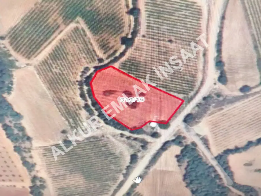 MANİSA SARIGÖL YENİKÖY MAH. 3022m² TARLA SATILIKTIR.
