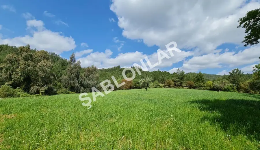 DOĞAYLA İÇ İÇE İMARLI ARSA