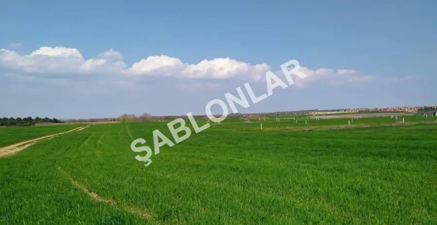 Menderes Sahilyolu'nda Satılık 250m² Bahçe - BAL GAYRİMENKUL