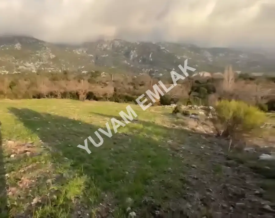 İlan Adı