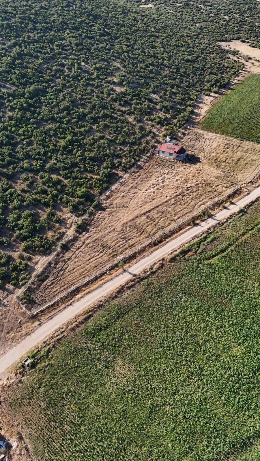 İlan Adı