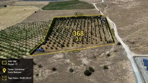 SATILIK TOPLAM 115 DEKAR CEVİZ BAHÇESİ VE TARIM ARAZİLERİ