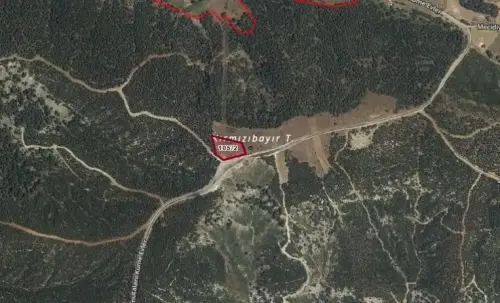 BOZKURT ARMUTALANDA İÇERİSİNDE BADEM AĞAÇLARI OLAN TARLA