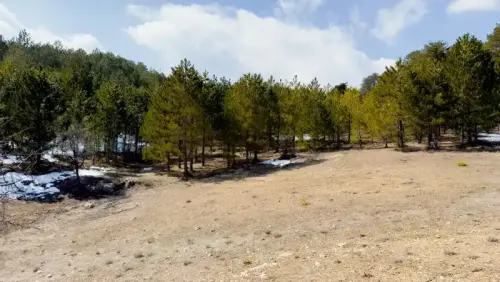 REMAX FORCE'DAN FIRSAT TARLA KOCAPINAR' DA TAKASA AÇIK