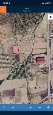 DENİZLİ ÇAL MAHMUTGAZİ 2349M2 SU VE ELEKTRİKLİ CEVİZ BAHÇESİ