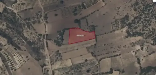 ÇARDAK SÖĞÜTÖZÜ'NDE KÖYE 800 METRE MESAFEDE SATILIK TARLA
