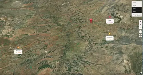 Çal Süller 3.843 m² Bakımlı Üzüm Bağı · 270 Omca · Kadastro Yolu