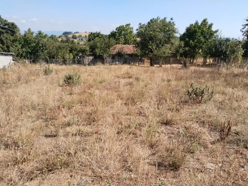 İlan Adı
