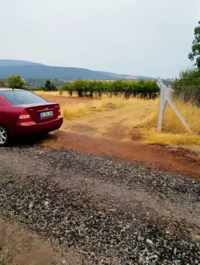 BEYAĞAÇ KIZILCAAĞAÇ'ta TA SATILIK YATIRIMLIK FIRSAT TARLA