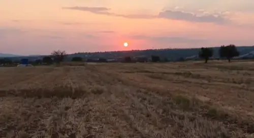 Tavas satılık tarla 