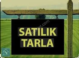 İlan Adı